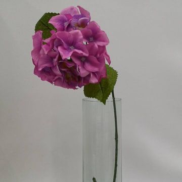 Hortensia Morada Mod.56612B