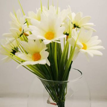 Margarita Crema Mod.3589-GM5389