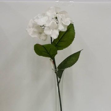 Hortensia Blanca Mod.56612B
