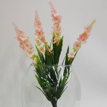 Lavanda Rosa Mod.669