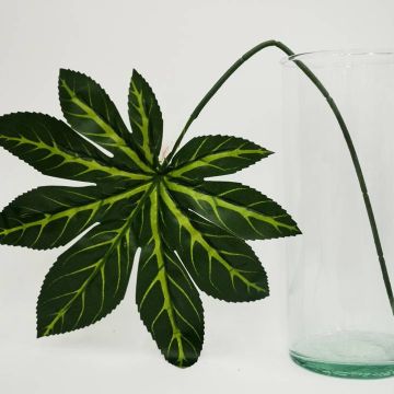 Hoja Estrella Verde Mod.442