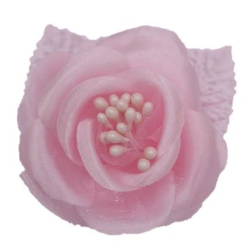 Rosa de Organza Rosa Pastel EG