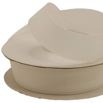 Listón Popotillo Liso Blanco # 10