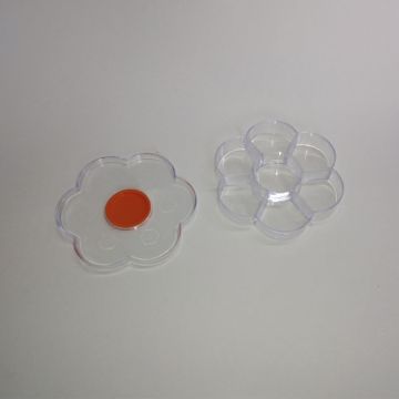 Caja flor Transparente