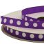 Listón Popotillo Lunares Morado