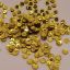 Lentejuela Oro #6