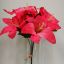 Lily Beauty Mod.FE-56701B