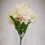 Peony Crema-Rosa Mod.56237B