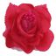 Rosa de Organza Fiusha EG