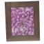 Portarretrato Decorativo Imitación Madera 8" x 10'' 5310-A-601