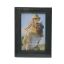 Portarretrato Decorativo Negro 5" x 7'' M0863KC-MW-H6
