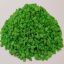 Gravilla para decoración Verde Limon # 3