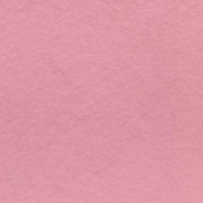 Fieltro Fieltro Liso Rosa Pastel | La Parisina