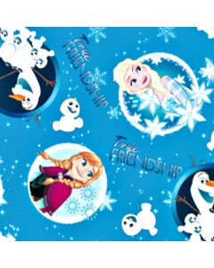 Decoracion Canasta Disney Frozen Estrellas Azul Cielo