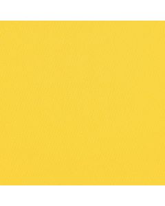 Dublin Dublin Liso Amarillo Mango