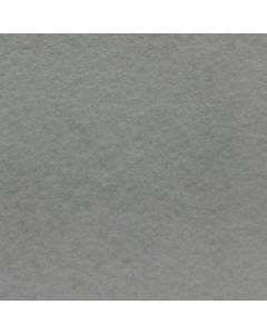 Fieltro Fieltro Liso Gris Perla