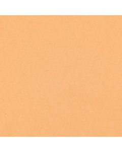 Fieltro Fieltro Liso Café Carne