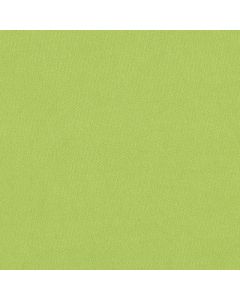 Magaly Liso Verde Lima