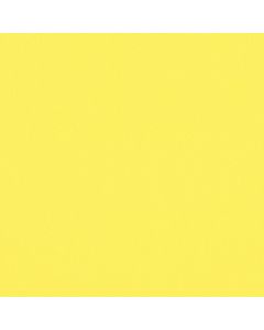 Bombay Liso Amarillo Canario