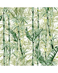 Loneta Española Bambu Verde Bandera