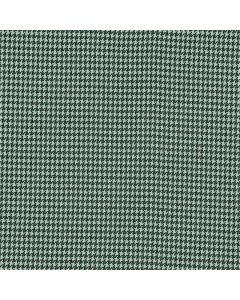 Pata De Gallo Liso Verde Bandera