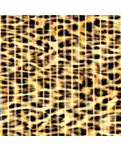 Plastico Antiderrapante Cheetah Estampado