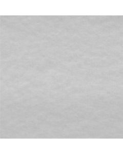 Polar Liso Blanco
