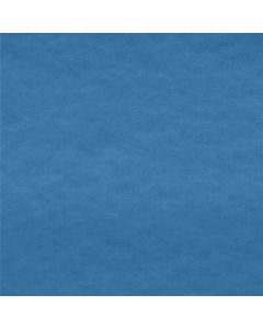 Polar Liso Azul Turquesa