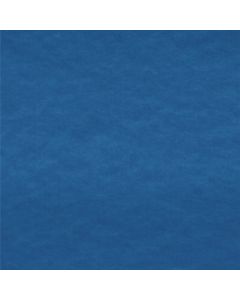 Polar Liso Azul Rey