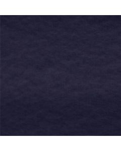 Polar Liso Azul Marino