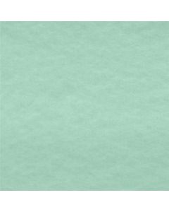 Polar Liso Verde Menta