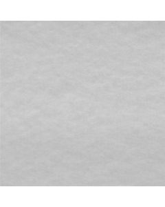 Polar Antártica Liso Blanco