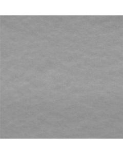 Polar Antártica Liso Gris Perla