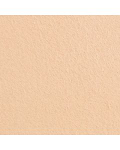 Polar Antártica Liso Cafe Beige