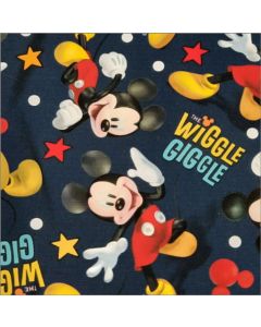 Polar Flannel Disney Azul Náutico
