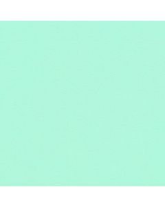 Popelina Popelina Liso Verde Menta