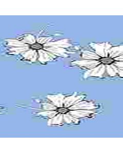 Rayon Chalis Flor Grande Azul Cielo