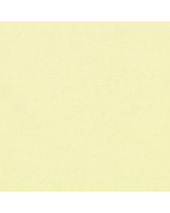 Razo Kim Liso Amarillo Canario