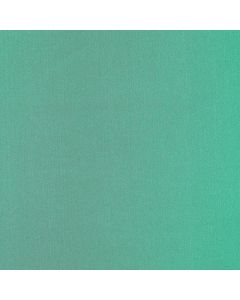 Razo Charmusse Liso Verde Bandera