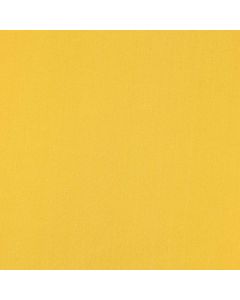 Razo Charmusse Liso Amarillo Mango