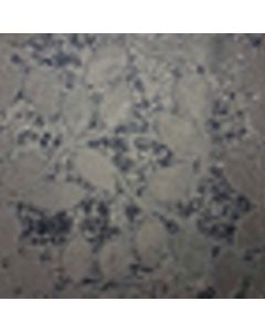 Decoración Jackard Royal Hoja Azul Marino