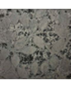 Decoración Jackard Royal Hoja Gris Oxford