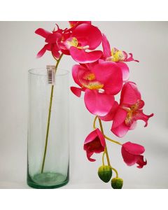 Orquídea Beauty Mod.FE-1-1185