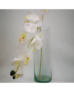 Orquídea Blanca Mod.FE-1-1185