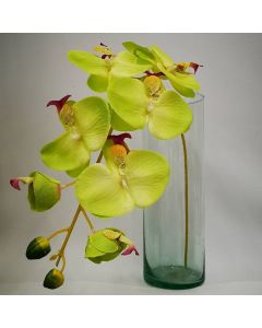 Orquídea Verde Mod. FE-1-1185