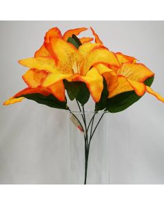 Lily Naranja Mod.FE-56701B