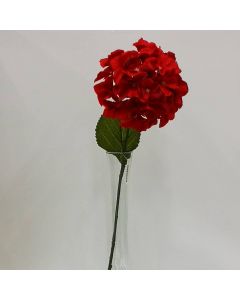 Hortensia Roja Mod.56612B