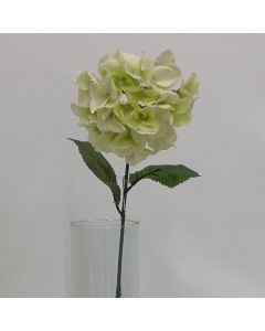 Hortensia Verde Mod.56612B