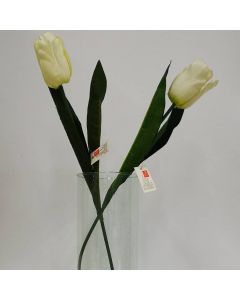 Tulipán Crema Mod.TM-T0284-58008B