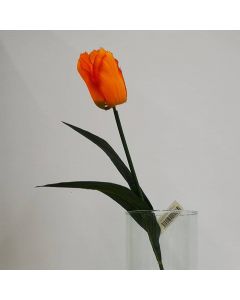 Tulipán Naranja Mod.TM-T0284-58008B